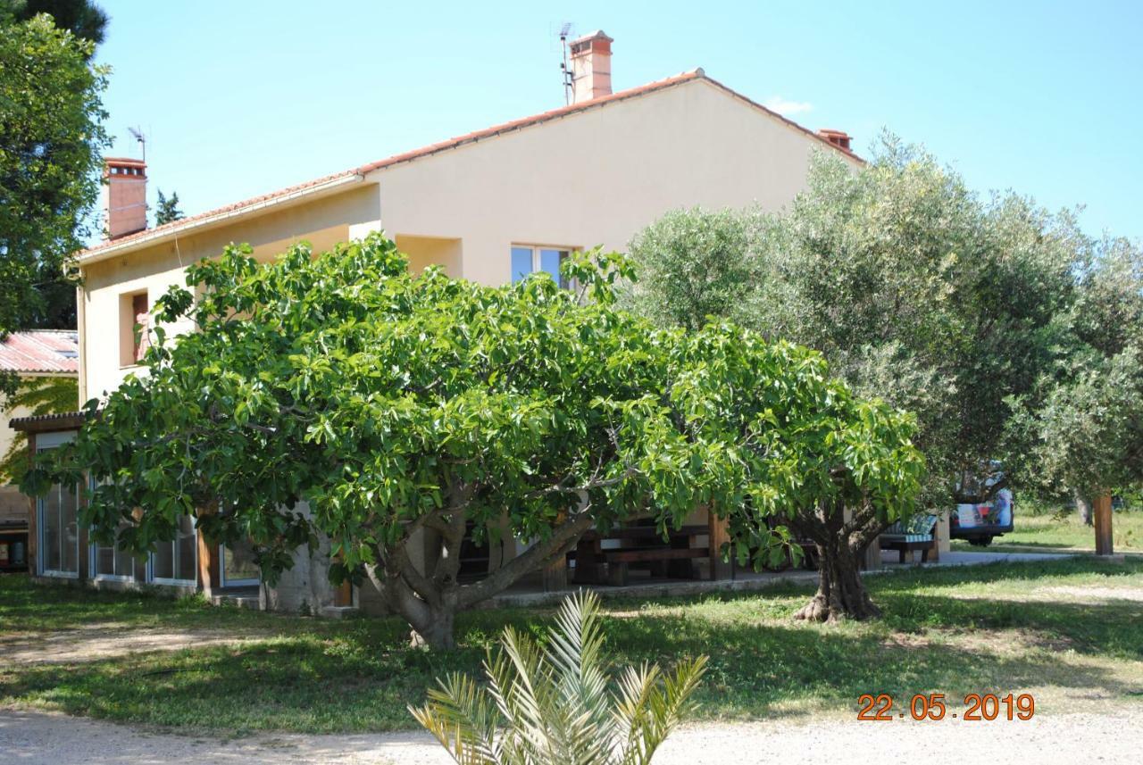 Mas De La Vignassa Villa Le Soler Exterior photo